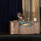 Image for article titled The First-Ever Cat Convention Pretty Much Broke the Internets